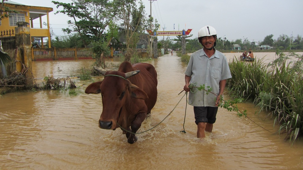 Đà Nẵng: Nhiều nhà dân vẫn bị nước lũ vây quanh 14