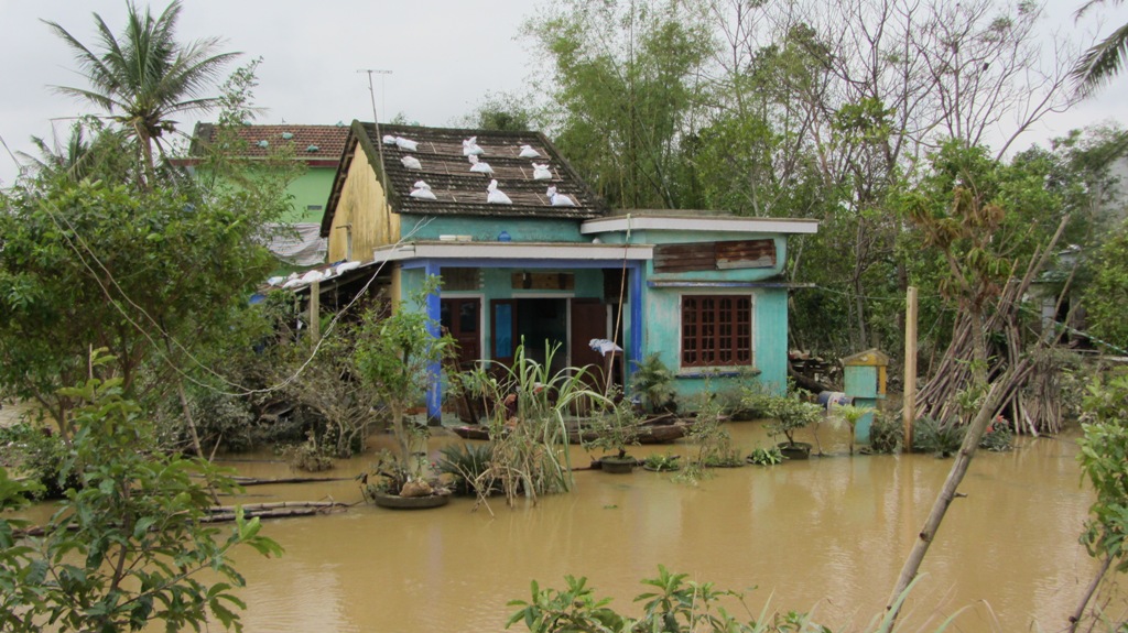 Đà Nẵng: Nhiều nhà dân vẫn bị nước lũ vây quanh 2