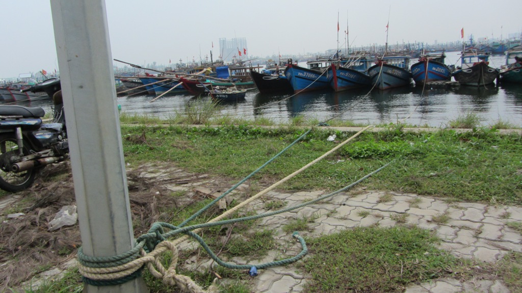 Ngư dân Đà Nẵng chuẩn bị đối phó với cơn bão số 12 5