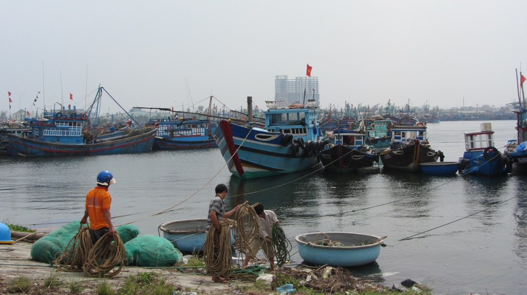 Ngư dân Đà Nẵng chuẩn bị đối phó với cơn bão số 12 3