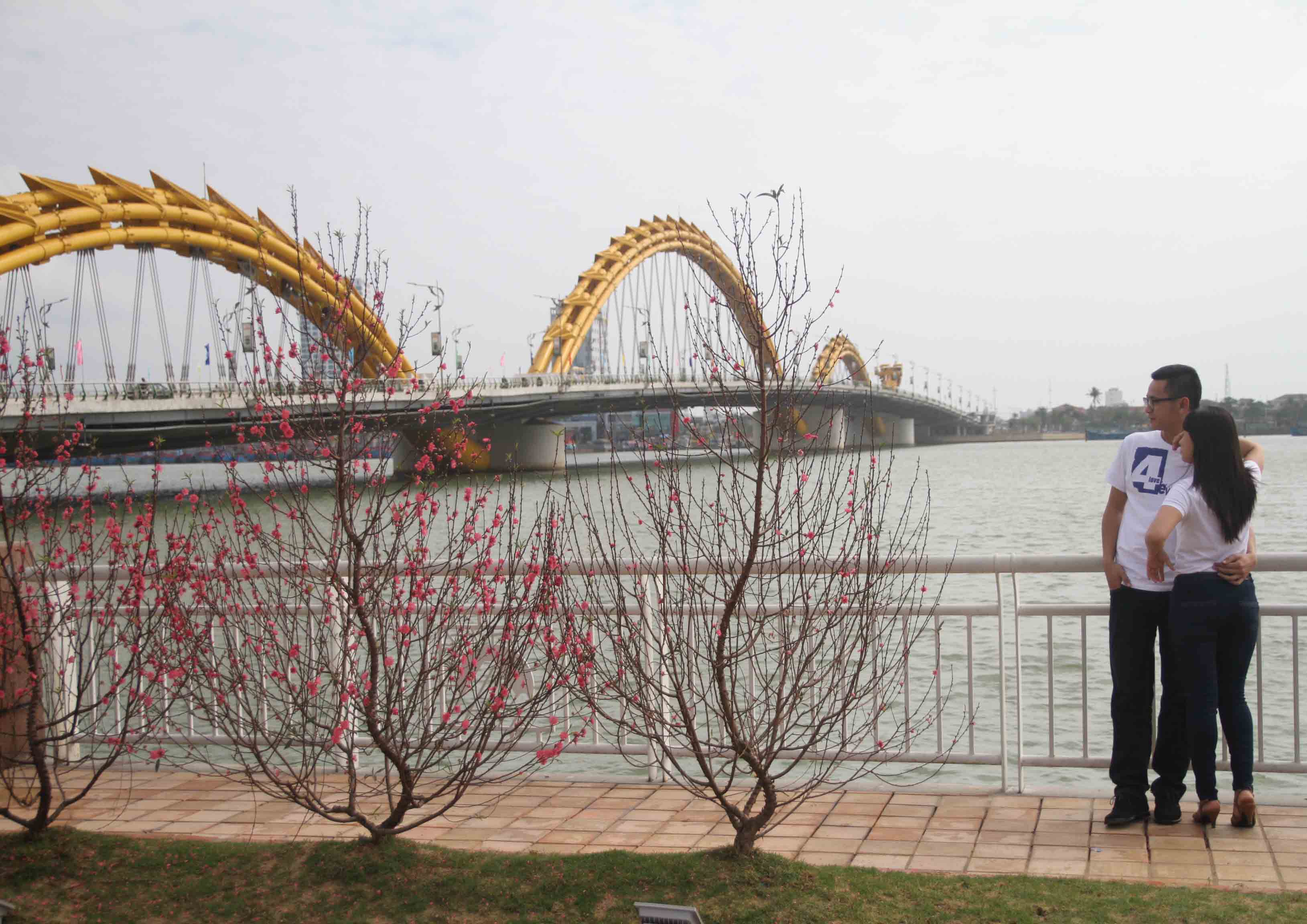 Sắc xu&acirc;n rực rỡ ở Đ&agrave; Nẵng 7