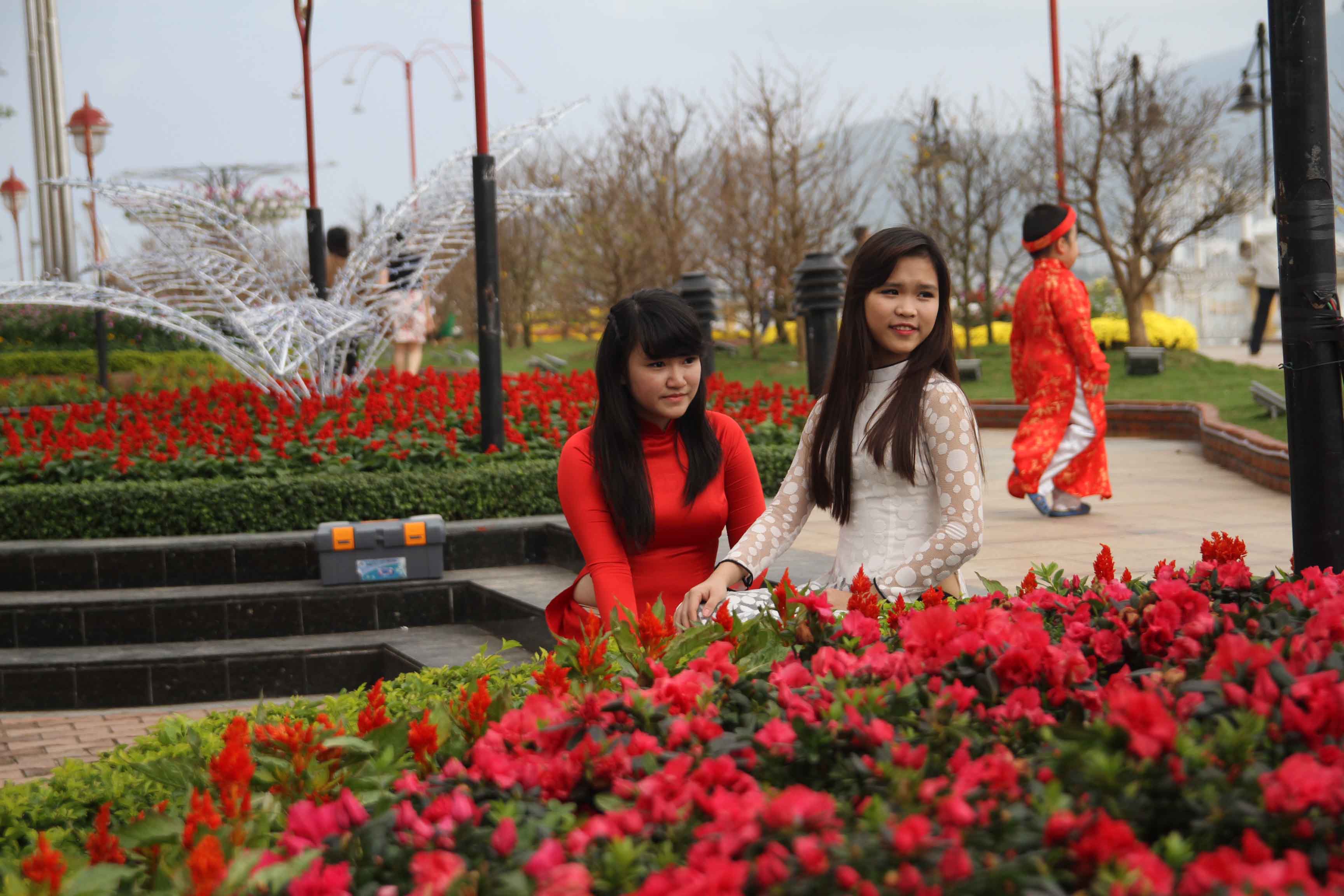 Sắc xu&acirc;n rực rỡ ở Đ&agrave; Nẵng 6