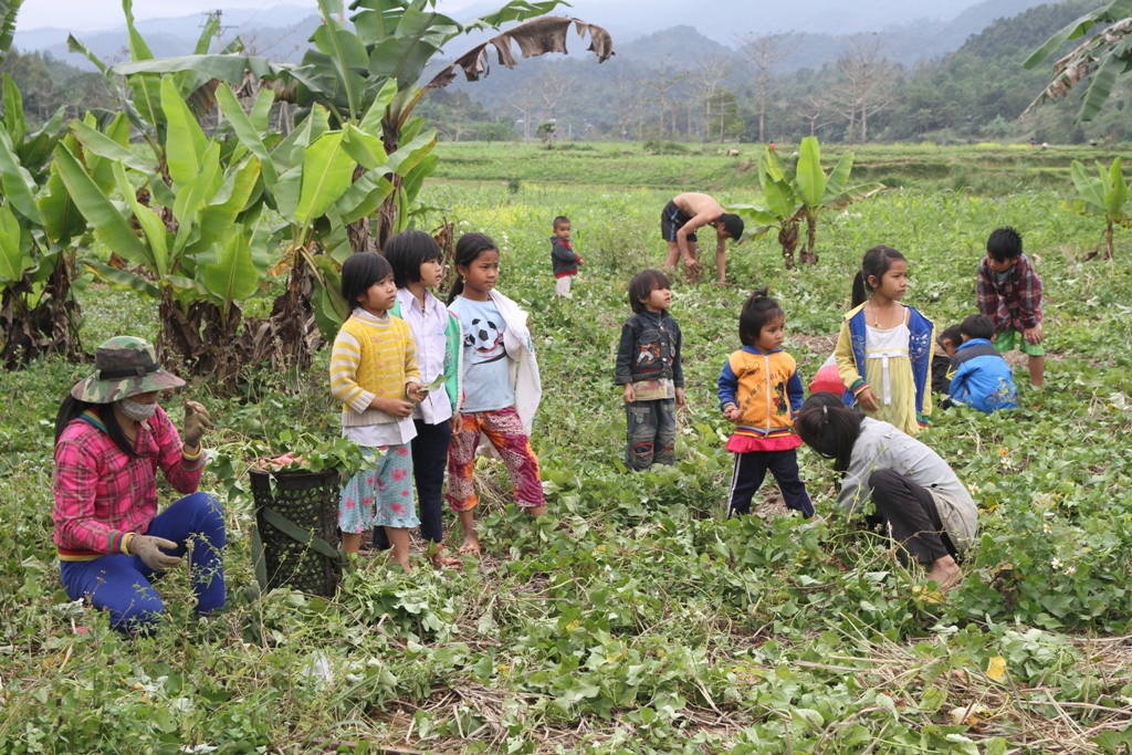 Thiếu chỗ chơi, trẻ v&ugrave;ng cao hồn nhi&ecirc;n vui đ&ugrave;a tr&ecirc;n nương rẫy 1