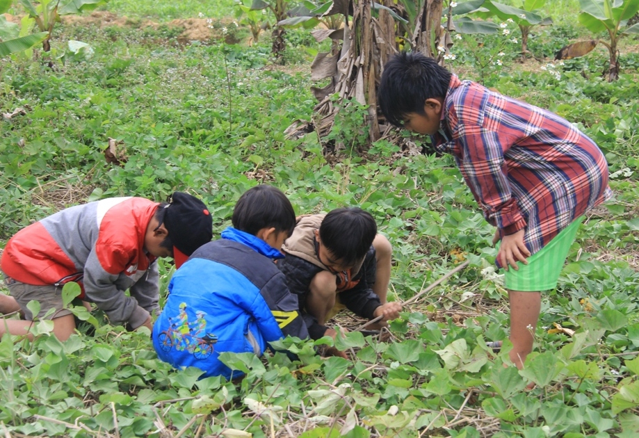 Thiếu chỗ chơi, trẻ v&ugrave;ng cao hồn nhi&ecirc;n vui đ&ugrave;a tr&ecirc;n nương rẫy 5