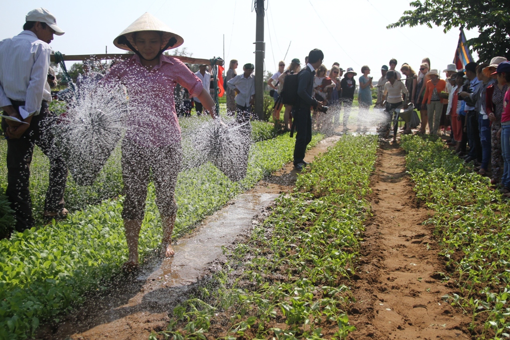 Khách Tây xúng xính áo nâu, nón lá đi trồng rau ở Trà Quế, Hội An 13