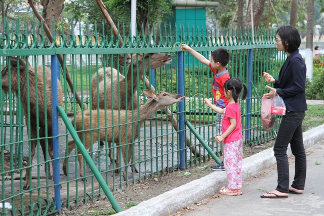 X&ocirc;n xao việc nh&acirc;n vi&ecirc;n vườn th&uacute; giết nai l&agrave;m thịt! 5