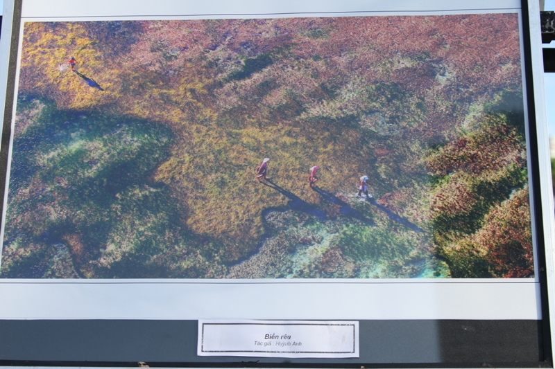 Đ&agrave; Nẵng triển l&atilde;m ảnh &ldquo;Biển đảo qu&ecirc; hương&rdquo; 3