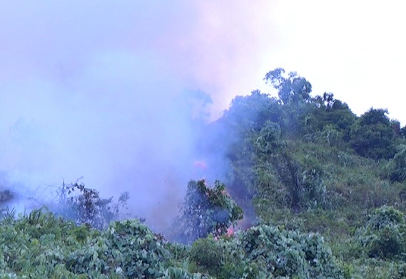 Nhiều tiếng nổ lớn ở đám cháy rừng đặc dụng Nam Hải Vân 1
