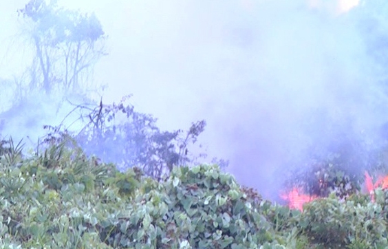 Nhiều tiếng nổ lớn ở đám cháy rừng đặc dụng Nam Hải Vân 2