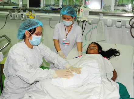 Đi chăn b&ograve; tr&ecirc;n rẫy, hai chị em bị ong v&ograve; vẽ đốt hơn 100 mũi 1