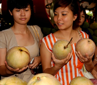Cận cảnh c&acirc;y tr&aacute;i&hellip; khủng khi du xu&acirc;n ở suối Ti&ecirc;n 4