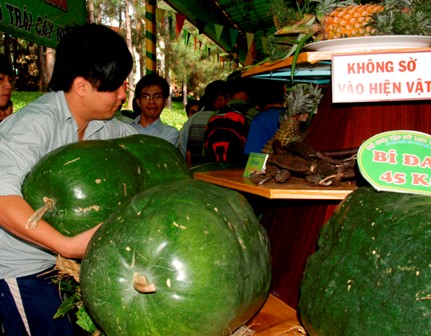 Cận cảnh c&acirc;y tr&aacute;i&hellip; khủng khi du xu&acirc;n ở suối Ti&ecirc;n 1