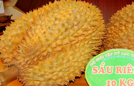 Cận cảnh c&acirc;y tr&aacute;i&hellip; khủng khi du xu&acirc;n ở suối Ti&ecirc;n 2