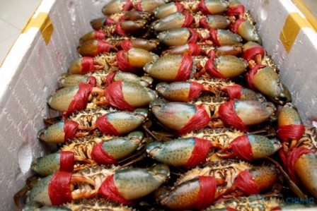 Nhận diện những &ldquo;chi&ecirc;u&rdquo; ăn gian thực phẩm 1