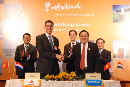 Sacombank v&agrave; Rabobank hợp t&aacute;c trong lĩnh vực thực phẩm v&agrave; kinh doanh n&ocirc;ng nghiệp 1