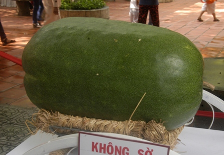 Khai mạc Lễ hội Tr&aacute;i c&acirc;y Nam Bộ lần thứ 10 2