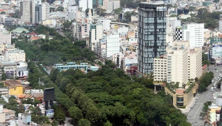 Th&ecirc;m 57 c&acirc;y xanh cổ thụ v&agrave; nhiều c&acirc;y nữa sẽ&hellip; qua đời 1