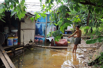 Ch&ugrave;m ảnh: L&ecirc;nh đ&ecirc;nh x&oacute;m ngh&egrave;o ở b&atilde;i giữa s&ocirc;ng Hồng 3