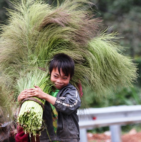 Nụ cười hồn nhi&ecirc;n trong gi&aacute; lạnh của những đứa trẻ rẻo cao 5