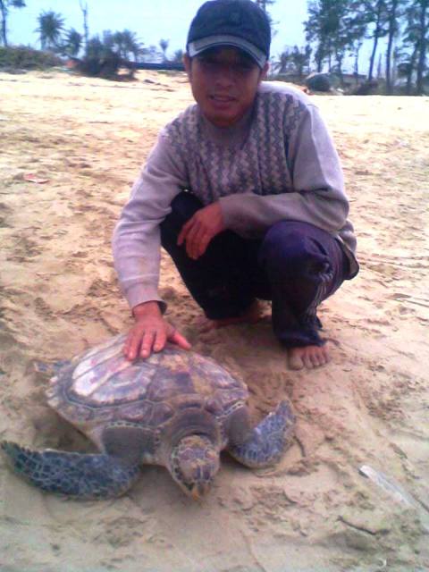 Bắt được r&ugrave;a biển c&oacute; d&ograve;ng chữ H&aacute;n 1