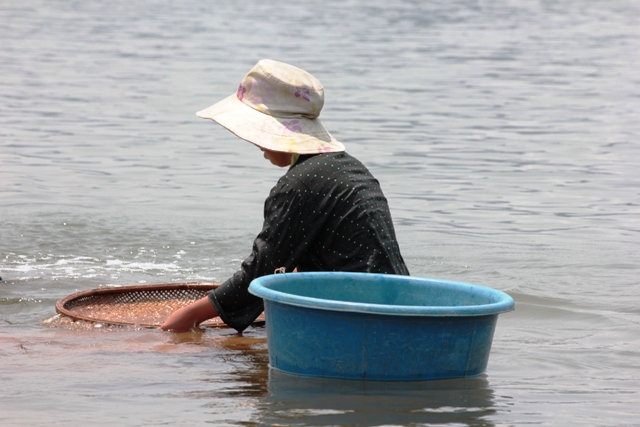 Ng&acirc;m m&igrave;nh đ&atilde;i lộc tr&ecirc;n s&ocirc;ng Gianh 2