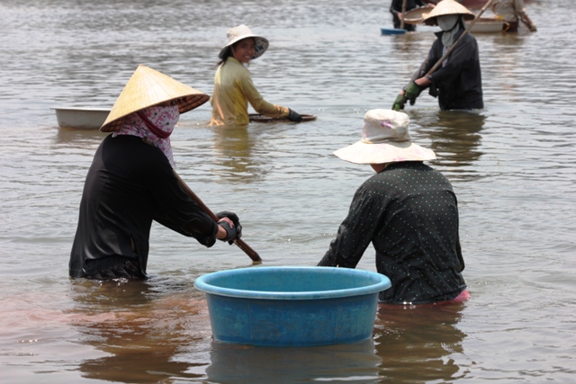 Ng&acirc;m m&igrave;nh đ&atilde;i lộc tr&ecirc;n s&ocirc;ng Gianh 1