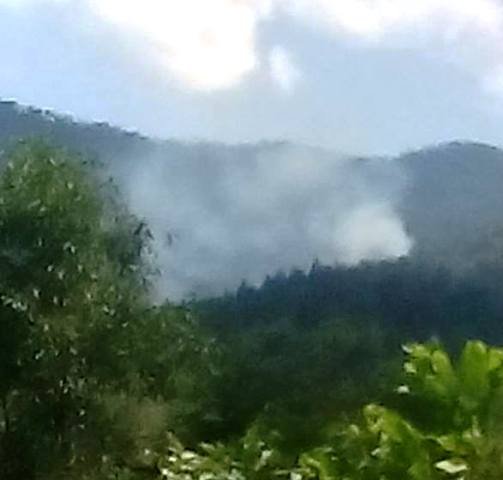 Quảng B&igrave;nh: Li&ecirc;n tục xảy ra ch&aacute;y rừng 1