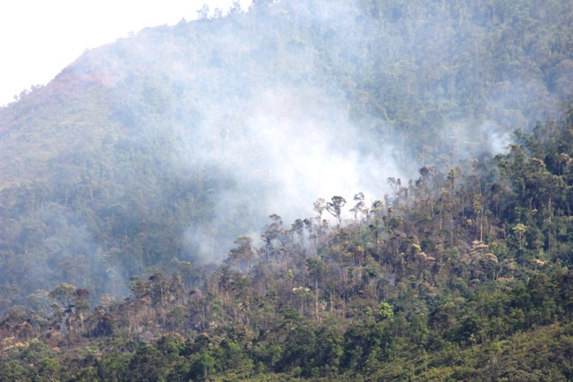 Quảng B&igrave;nh: Li&ecirc;n tục xảy ra ch&aacute;y rừng 2