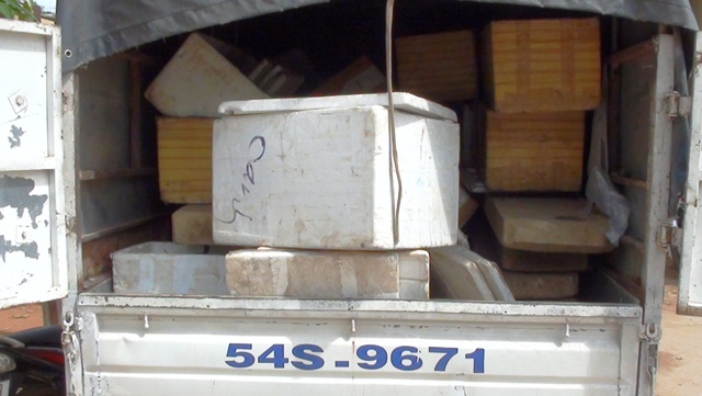 Gỗ lậu trong xe chở cá 1