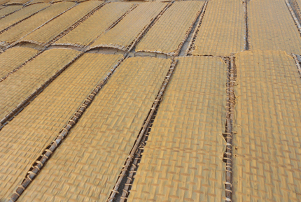 Cận cảnh làng nghề sản xuất bánh đa nổi tiếng ở Hải Dương 7