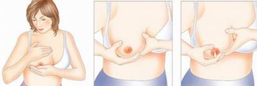 Vắt sữa đúng cách "để dành" cho bé yêu 1