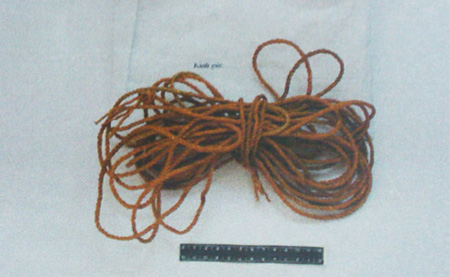 Ác quỷ hiếp, giết ba mẹ con trên đồi 2