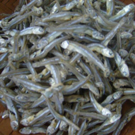 Đệ Khang Ph&uacute; Th&agrave;nh - lựa chọn th&ocirc;ng minh của c&aacute;c b&agrave; nội trợ 2