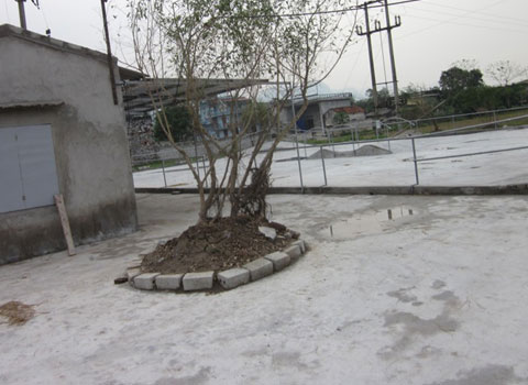 Đ&ecirc;m định mệnh của c&ocirc; gi&aacute;o mang bầu qua lời kể của bố chồng 1