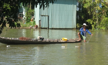 Một tiểu thương thả gần 2 tấn cá nước ngọt ra sông 1