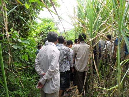 Nữ sinh 13 tuổi chết b&iacute; ẩn trong vườn m&iacute;a 1