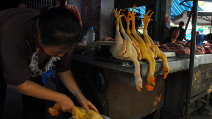 Con đường biến g&agrave; &ldquo;qu&aacute; đ&aacute;t&rdquo; th&agrave;nh g&agrave; ta 1