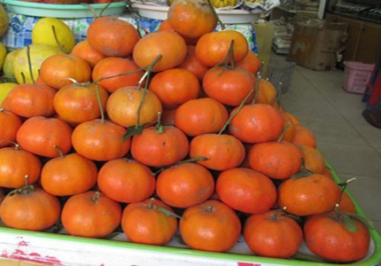 Săn qu&agrave; qu&ecirc; biếu tết sếp 1
