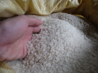 Bật mí cách chọn gạo tránh loại nhiễm hóa chất độc 1