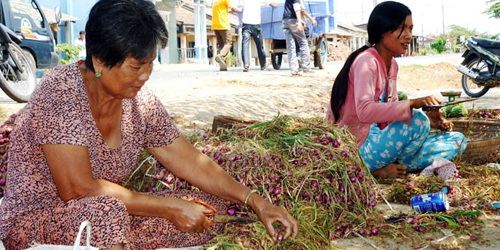 Mù mắt vì bóc vỏ hành tím 1