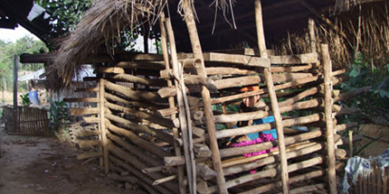 Thiếu nữ bị bố mẹ nhốt trong cũi suốt 3 năm 1