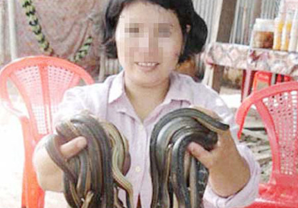 Đua nhau mua rắn độc về l&agrave;m 'thần may mắn' 1