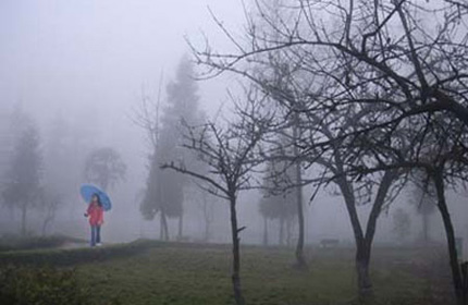 Cuối th&aacute;ng 1 nền nhiệt tại H&agrave; Nội giảm xuống 8 độ C 1