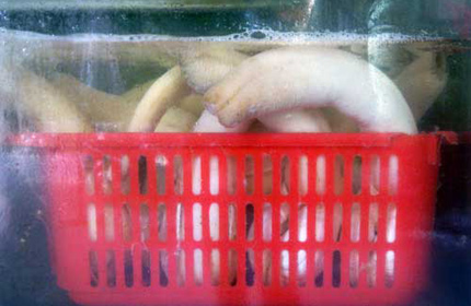 Theo ch&acirc;n đại gia đi ăn tu h&agrave;i bạc triệu  1