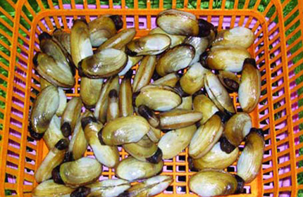 Theo ch&acirc;n đại gia đi ăn tu h&agrave;i bạc triệu  2