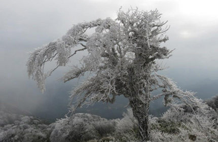 H&agrave; Nội r&eacute;t 10 độ C, v&ugrave;ng n&uacute;i miền Bắc c&oacute; băng gi&aacute; 1