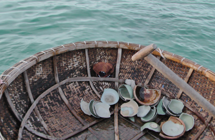 Khai quật khẩn cấp di sản văn hóa dưới biển 1 Khai quật khẩn cấp di sản văn hóa dưới biển 1