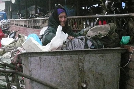 Cụ b&agrave; 84 tuổi bới r&aacute;c khai xu&acirc;n 1