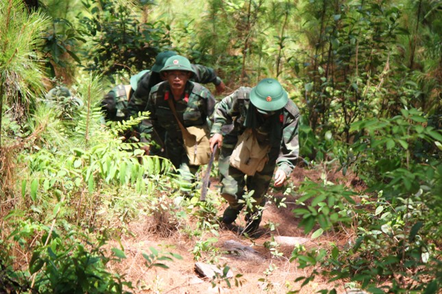 Nghệ An: Liên tiếp xảy ra cháy rừng trong đợt nắng nóng  2