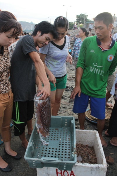 Cửa L&ograve; - Ng&agrave;y ấy, b&acirc;y giờ (3)  7